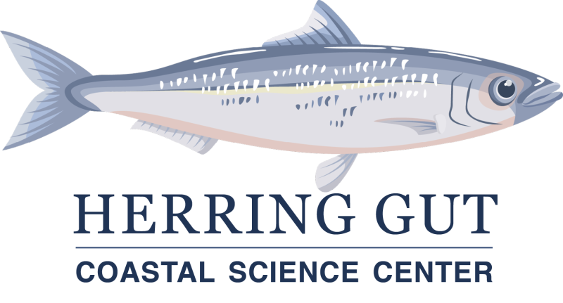 Herring Gut Coastal Science Center Named Quarterfinalist for Yass Prize