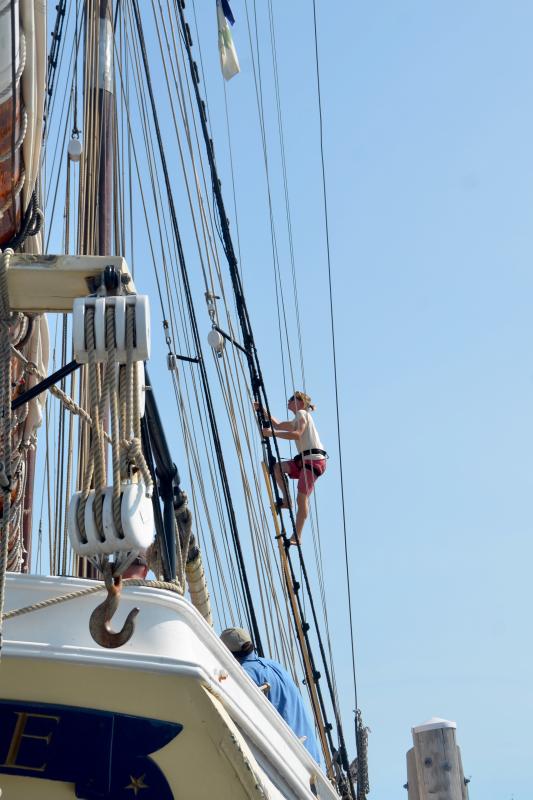 Climbing the mast to tend to the rigging. (Photo by Lynda Clancy)