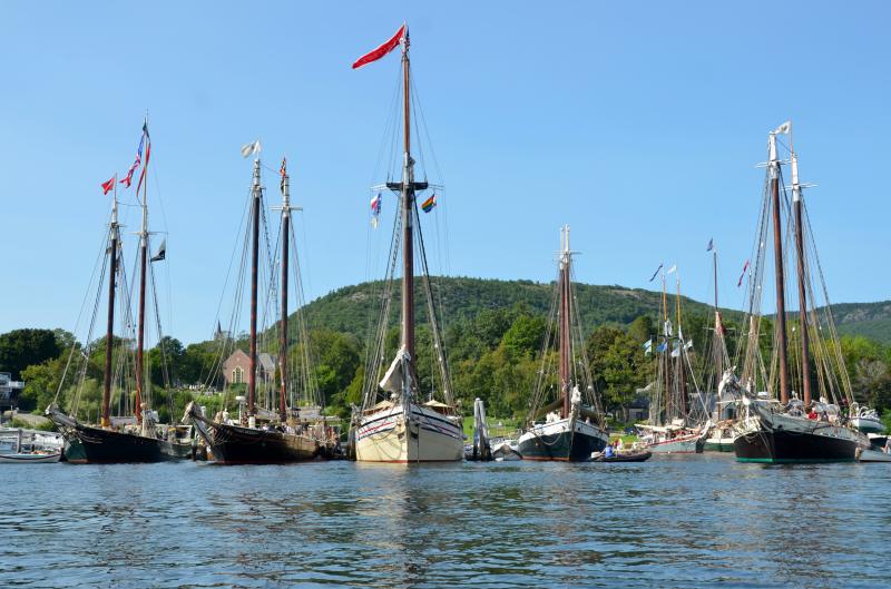 Almost all in, and lined up, in Camden, where the mountains meet the sea. It is the 2023 Windjammer Festival and the guests of honor – the fleet of schooners – is in and ready for a celebration. (Photo by Lynda Clancy)