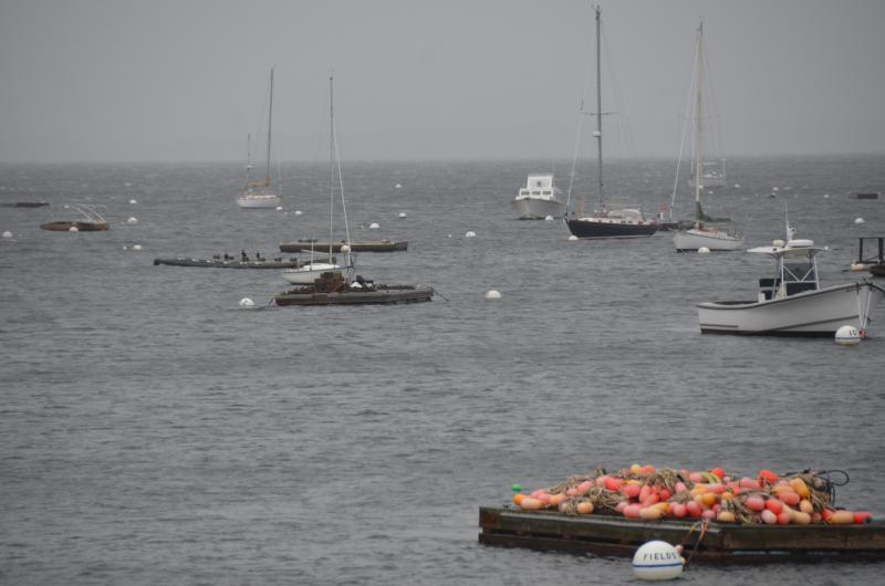 Rockport Harbor.