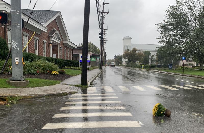 Mums on the move in Rockland. (Photo by Lynda Clancy)