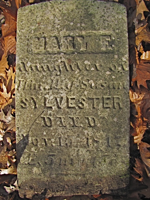 Little Mary Sylvester’s stone, uncovered deep in the woods off a forgotten road. It reads: “Mary F. Daughter of Wm H and Susan Sylvester Died November 15, 1847 AE 5 months” (Courtesy of the Lincolnville Historical Society)