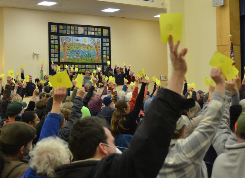 Those in favor of the moratorium raise their yellow cards high in the air. (Photo by Lynda Clancy)