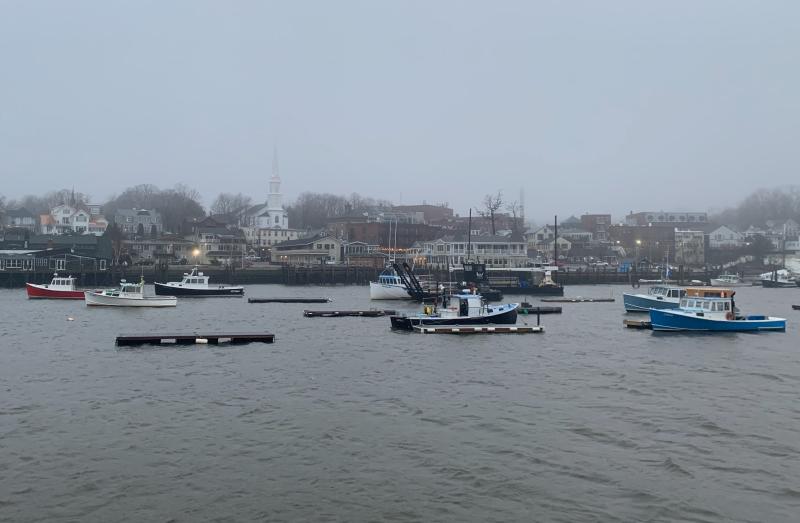 Camden Harbor, Jan. 13.
