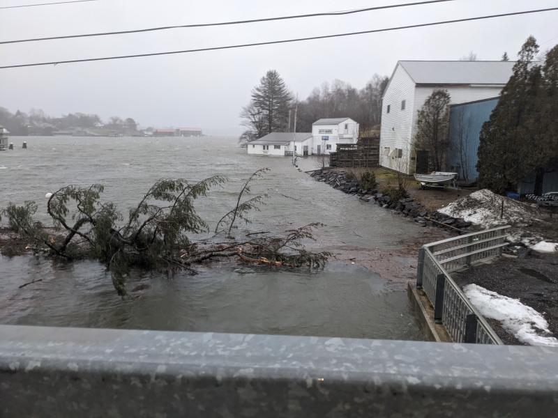 In Thomaston (Photo courtesy Kathleen Norton)