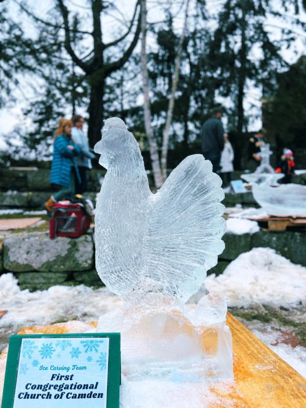 (Photo courtesy Julia Sagaser, Camden Public Library)