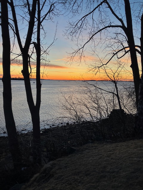 March 22. Ahead of the storm. (Photo by Susan Kanellakis)