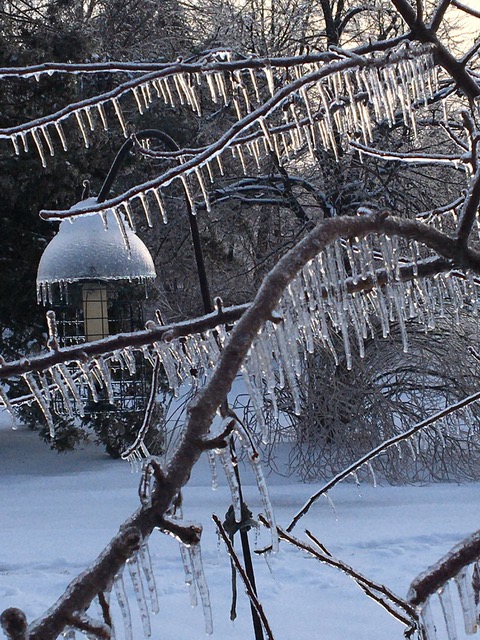 Early morning, March 24, after the storm. (Photo by Penelope Olson)