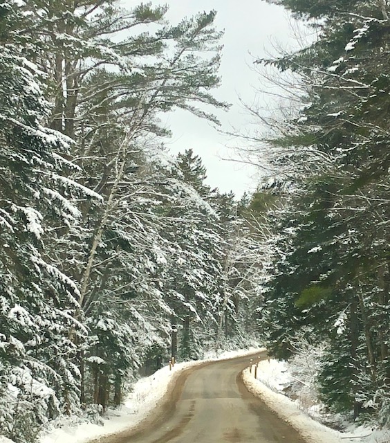 Welcome Spring?? Saturday, March 23. (Photo by Carolyn Kanicki)
