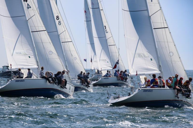 The fleet of 37-foot Corinthians during the Port of LA Harbor Cup competition. (Photo courtesy Patrick DiLalla)