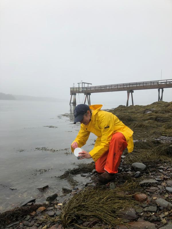 Researchers from Bigelow Laboratory take water samples and process them in the lab to test for levels of different PFAS chemicals. Courtesy of Bigelow Laboratory for Ocean Sciences