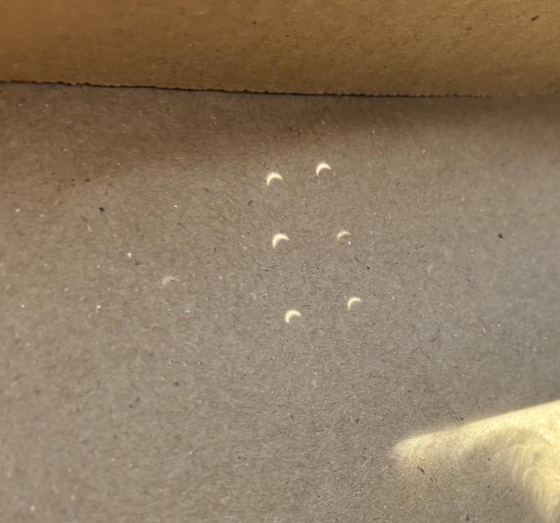 The solar eclipse as viewed safely by the authors using a 6-pinhole contraption, showing the moon beginning to block the sun. Courtesy of Allison Wells #bird-column, #birds, #boothbay register, #total eclipse, #solar eclipse, #jeff and allison wells, #bohemian waxwing, #maine