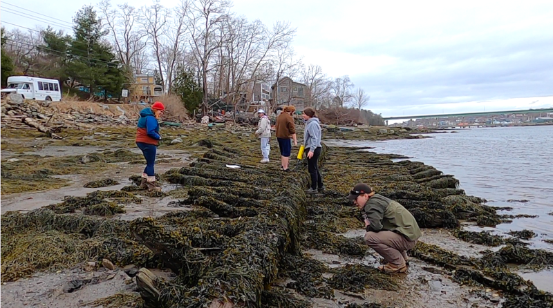 BMI instructor Genna Black helps students identify the assorted marine flora and fauna found among the wreck. (Photo by Charles H. Lagerbom, BMI)