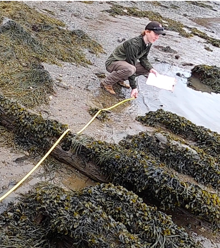 BMI students take a series of measurements to help determine the current status of the wreck, as nature continues to scatter and break down the vessel. (Photo by Charles H. Lagerbom, BMI)