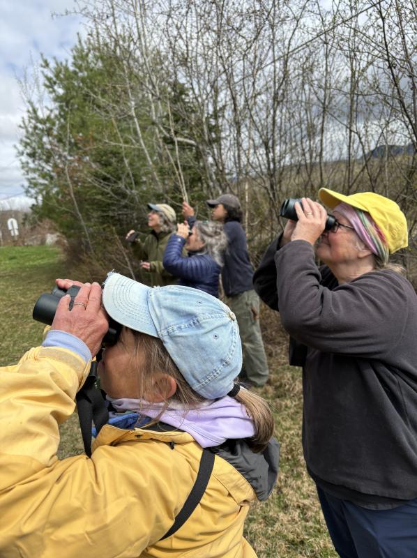 Birders enjoying birds on a bird walk at the Perham Stream Birding Trail in Madrid, Maine, which the authors led for the Natural Resources Council of Maine. Courtesy of A.Wells/NRCM #bird-column, #boothbay register, #perham stream birding trail, #natural resources council of maine, #jeff and allison wells, #birds, #maine, #high peaks alliance, #birders
