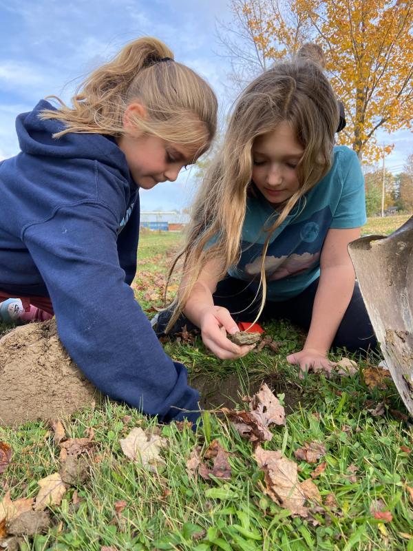 Students at Troy Howard Middle School help to plant daffodils. (Photo courtesy Belfast Daffodil Project)