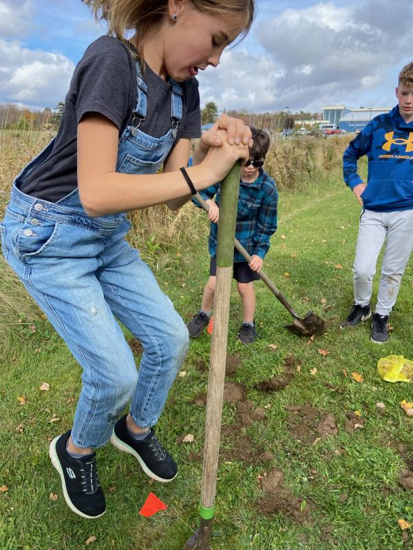 Troy Howard Middle School students Elena Sommer with Retta Megquire and (jumping) Hazel Badgett, Sylvan Cody, and Kale Cushman plant daffodils. (Photo courtesy the Belfast Daffodil Project)
