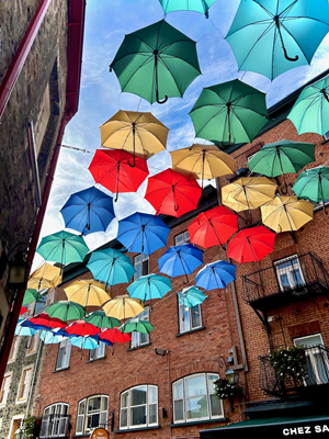“Enhancing Community in Belfast: Creative Placemaking” is one of
nineteen courses offered by Belfast Senior College in its fall 2024 semester. (Photo courtesy Belfast Senior College)