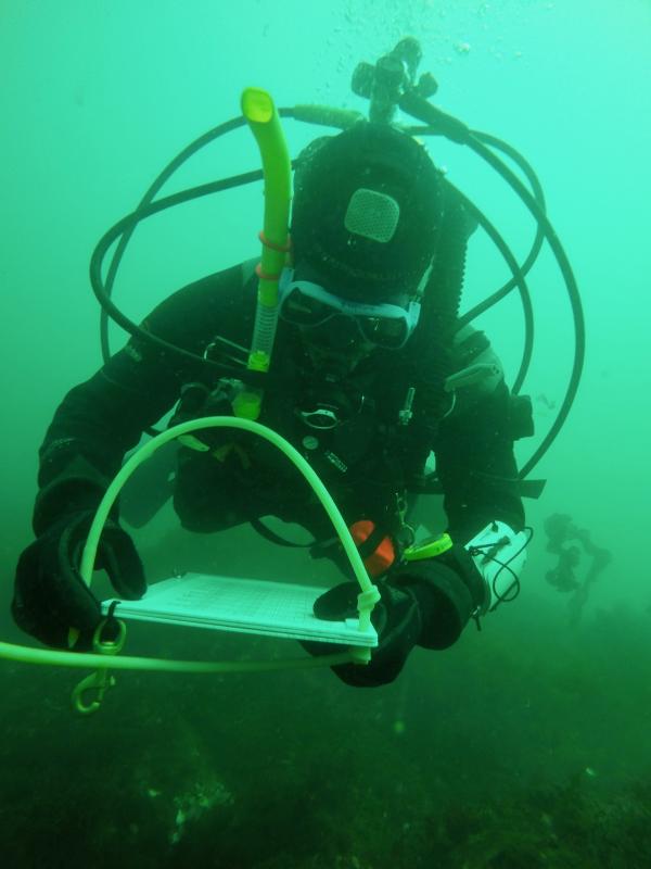 Dive Survey: Senior Research Scientist Doug Rasher and his team have assembled the first in-depth census of Maine’s kelp forests in almost 20 years, combining dive surveys of sea urchin and kelp populations with data on ocean temperature. Courtesy of Bigelow Laboratory