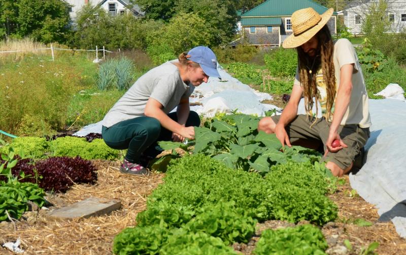 Anna and Kyle are planning to expand the diversified vegetable gardens at Hope Orchards. (Photo by Lynda Clancy)