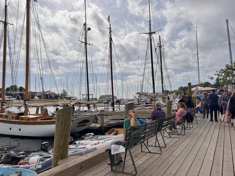Schooner masts fill Camden Harbor on Windjammer Weekend 2024. (Photo by Lynda Clancy)