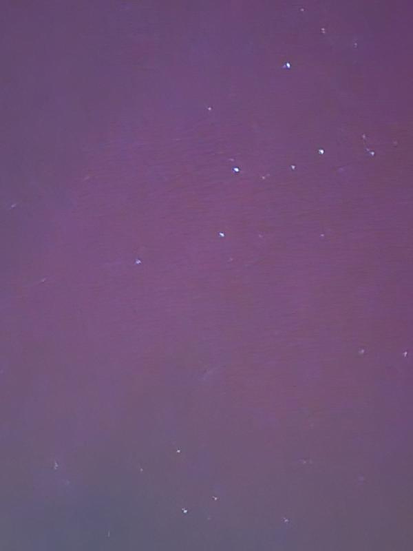 Cassiopeia, from Matinicus (Photo by Paul Murray)