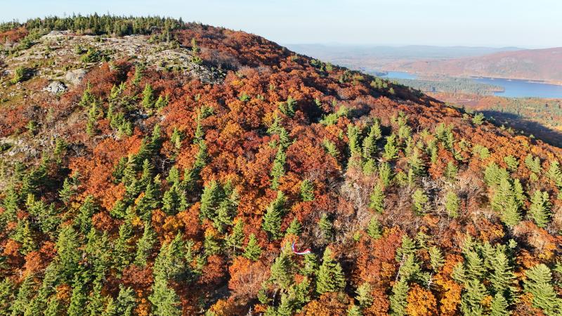 The paraglider landed in a tree on the upper slope of Bald Mountain, in Camden, Oct. 22. Drone shot by Todd Anderson