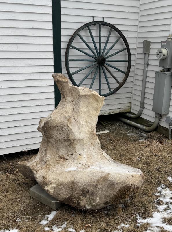A piece of the marble vein that runs beneath Lincolnville. (Photo by Ed O’Brien) Massive Rock