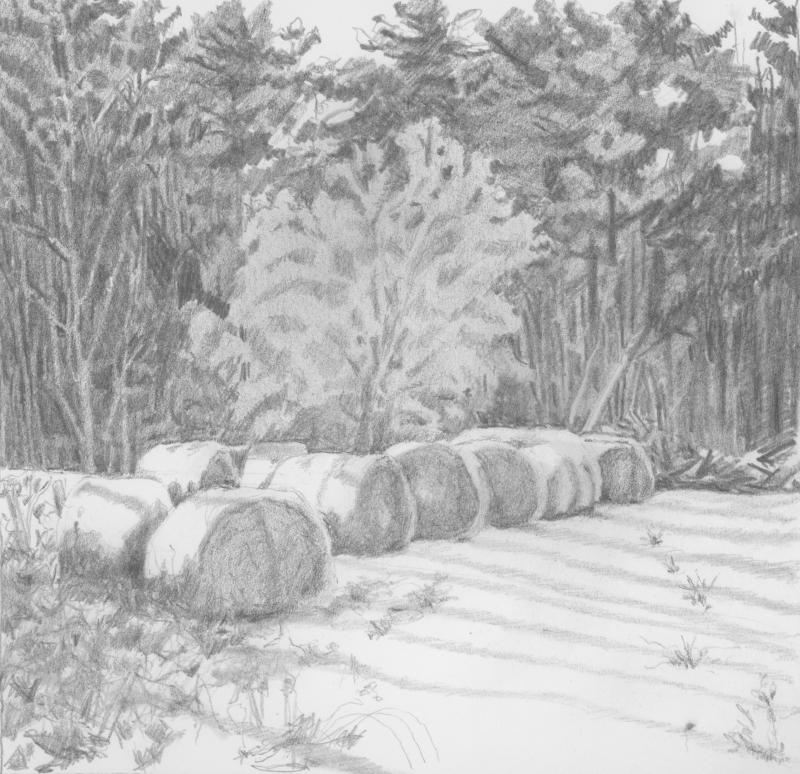 Burnham hay (By Rick Cronin) Burnham hay (By Rick Cronin)