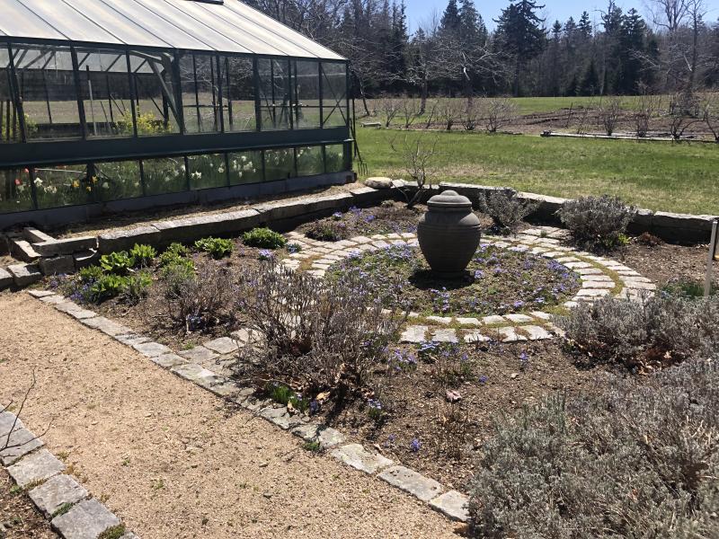 The Herb Garden and Floral Green House Barbara hand set every stone in the ring garden complete with the lanvender, wild-thyme and sage. The scent, even in the eary spring fills the head.