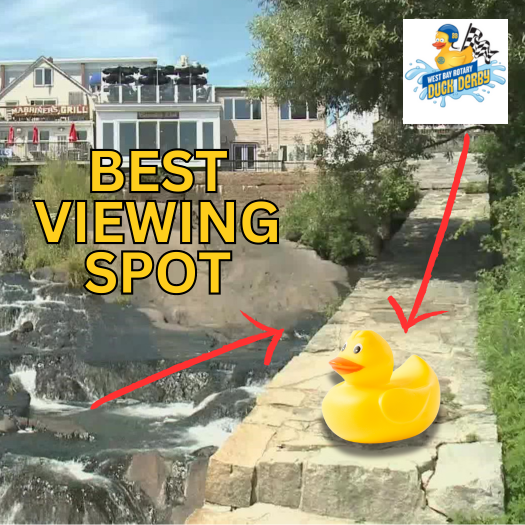 Insider Tip #1: Best viewing spot is on the sea wall next to the chute coming out of the dam. You could win one of 17 great prizes. Go to: www.WestBayRotaryOfMaine.org