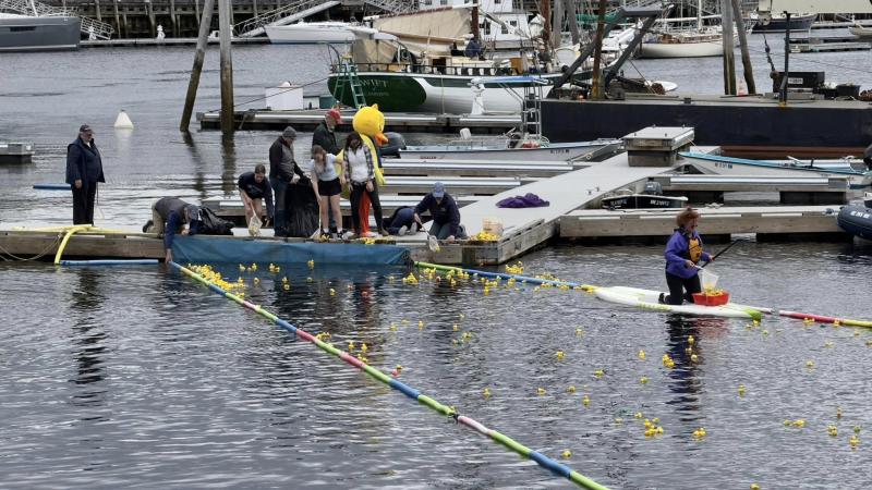 It was a photo finish to this year's Duck Derby! Thanks for everyone's support... can't wait for next year!!! A photo finish to this year's Duck Derby in Camden Harbor.