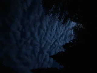 Just before the sunrise (Photo courtesy Susan Kanellakis) s