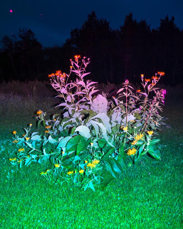 Photograph by Vincente Spadafora. (Image courtesy Rockport Public Library) Photograph by Vincente Spadafora. (Image courtesy Rockport Public Library)