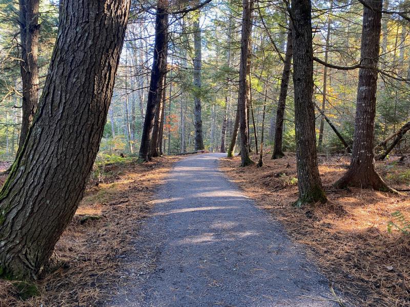 The new accessible trail winds through hemlock-shaded woods near downtown Damariscotta. (Photo courtesy Coastal Rivers Conservation Trust) Wide path through forest area