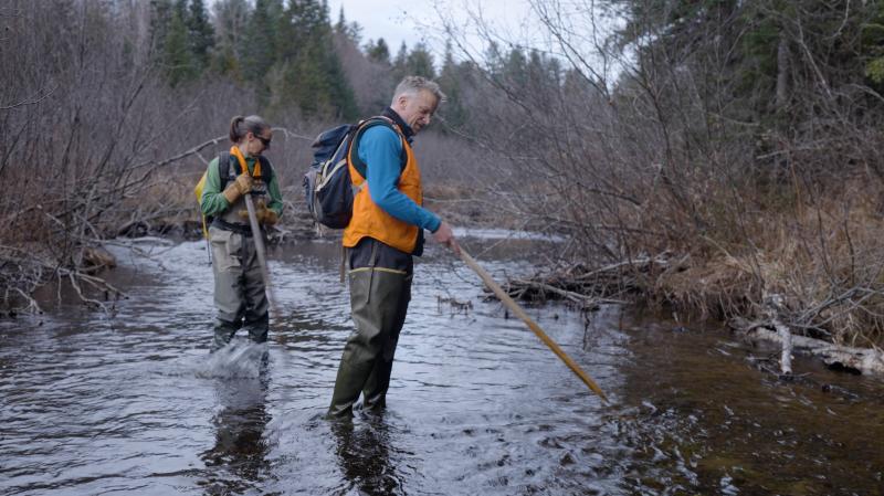 Scientists Danielle Frechette with Maine Dept. of Marine Resources (left) and Dan McCaw with Penobscot Nation Dept. of Natural Resources (right), search for evidence of salmon spawning in a tributary of the Penobscot River. (Still by Nolan Altvater/Sunlight Media Collective) Two people standing in a river