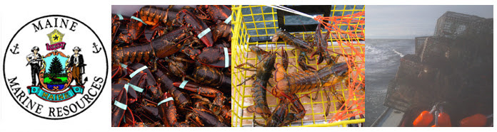 Maine Department of Marine Resources logo