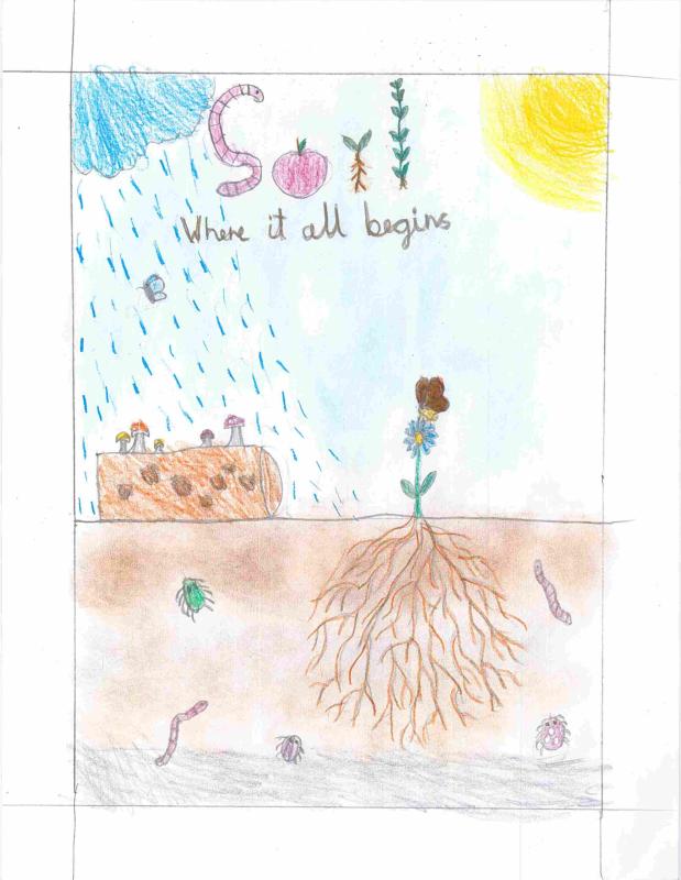 split screen: above ground and subterrain