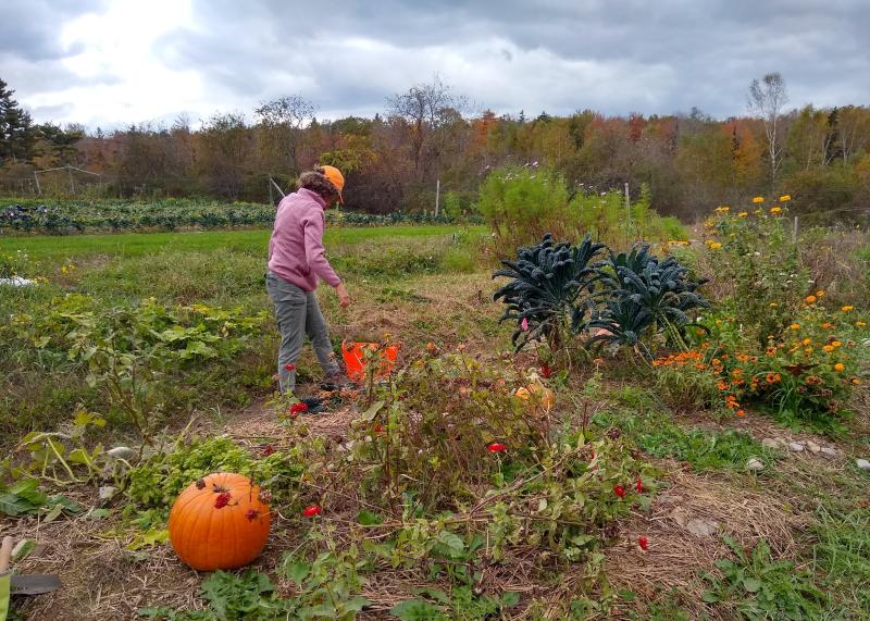 woman stands in autumn garden