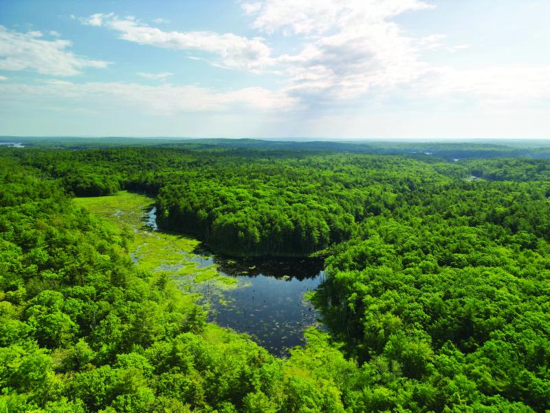 At 500 acres, Hart Woods represents one of the largest connected blocks of forest on this part of the Maine Coast. Photo by Bo Calais