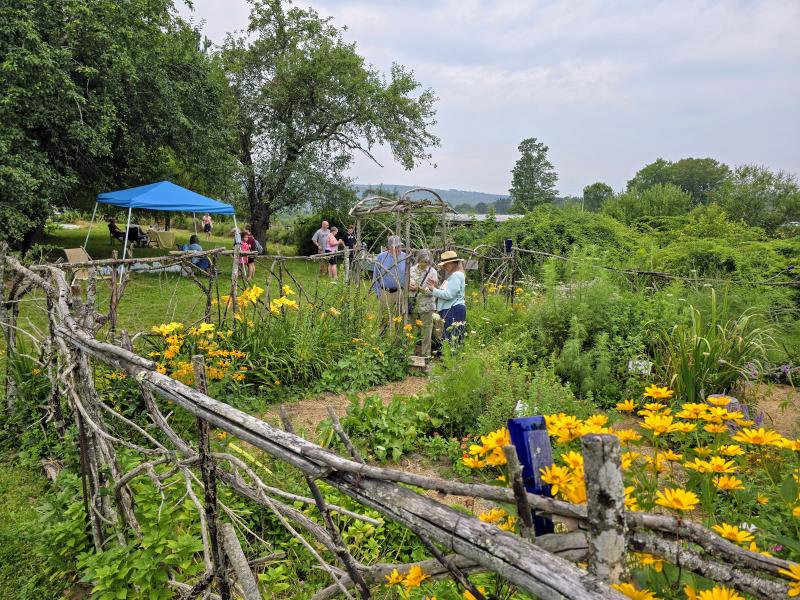 people enter a garden