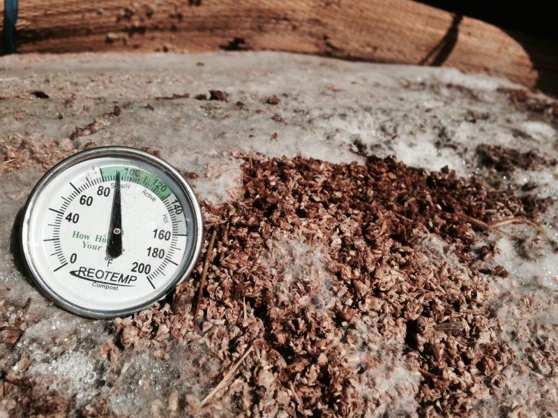 thermometer on rock