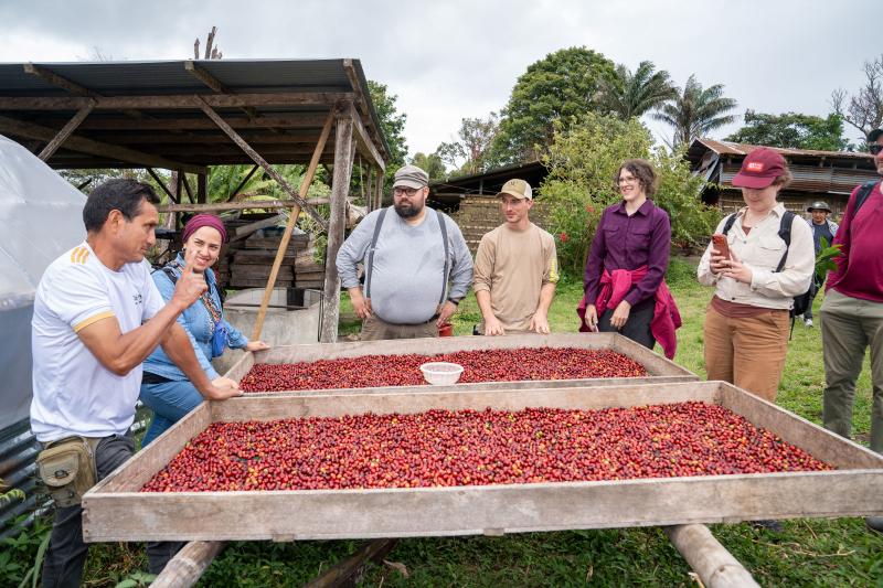 tour group looks at cranberries