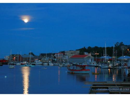 Photo Courtesy of Colleen Gleason