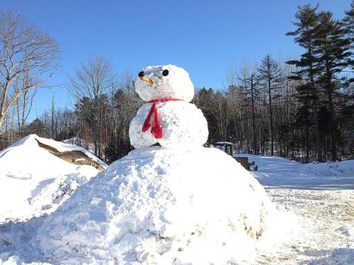 Snowlady