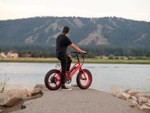 The Element is the ultimate value. It delivers Pedego quality with local service for an affordable price. ebike, electricbike, electric_bike, electric_vehicles, pedego, pedego boothbay harbor, maine, boothbay harbor