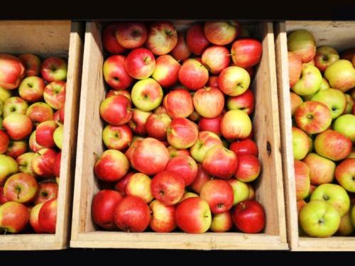 Fresh Local Apples!