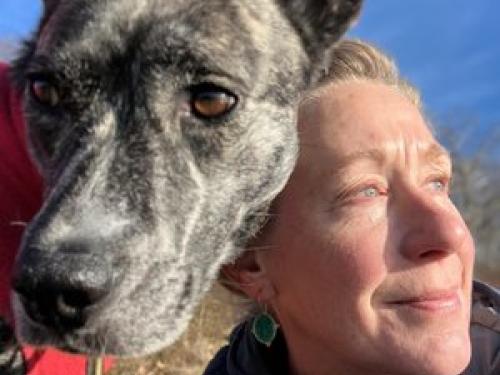 dog walking