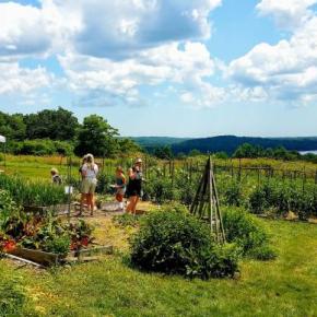 (Photo courtesy Brae Maple Farm)