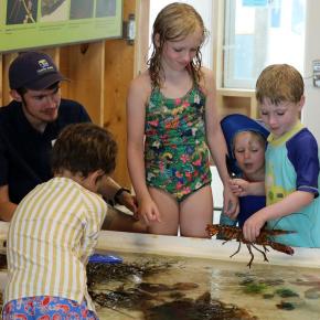 Visitors to the Beachcombers’ Discovery Center explore the touch tank. (Photo courtesy Kris Christine)